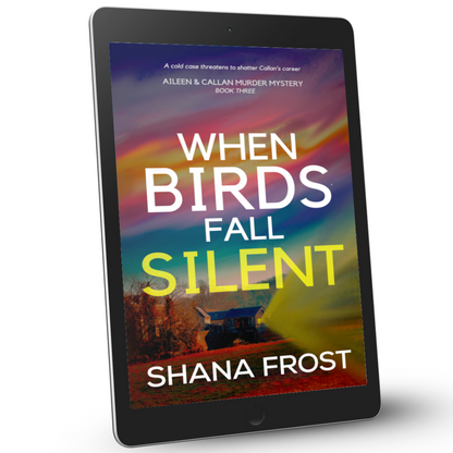 Romantic mystery novel set in Scotland